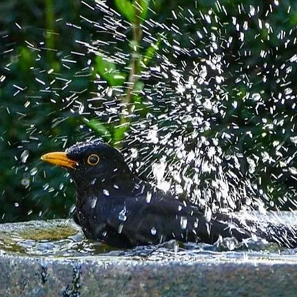 Sieben-seen * Mölln